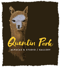 QP Alpaca Logo RGB SML (1) 1649207441 QP Alpaca Logo RGB SML (1) 1649207441